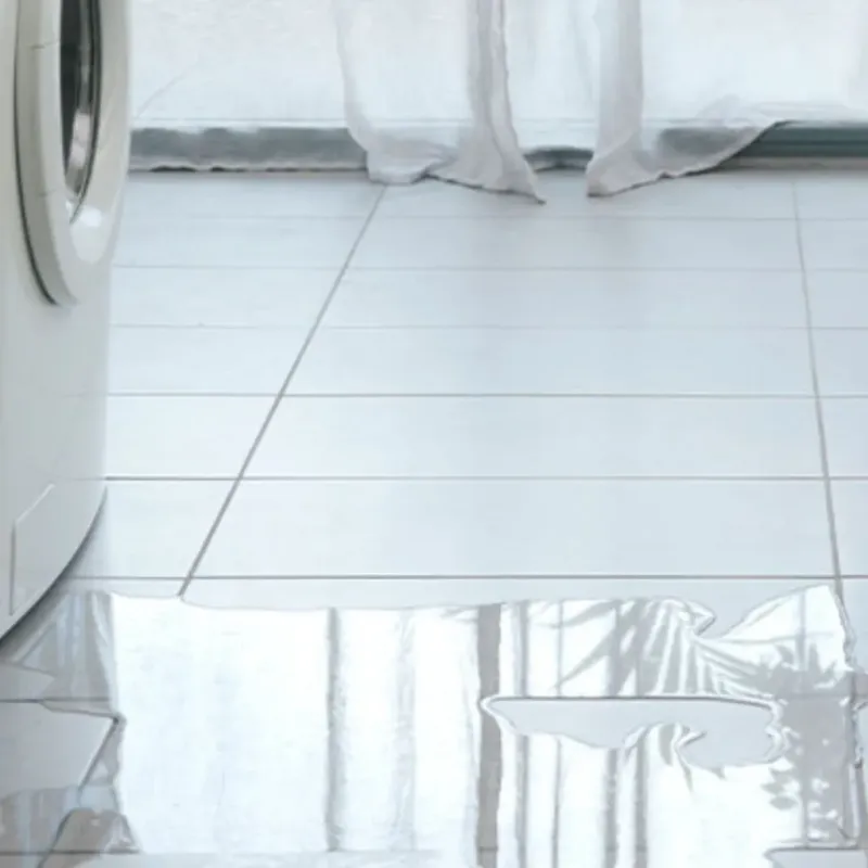 Appliance Leak Cleanup in Ganado, AZ