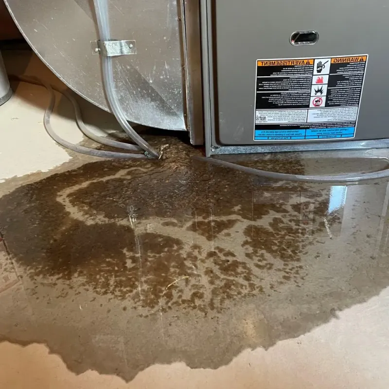Pipe Burst and Leak Restoration in Ganado, AZ