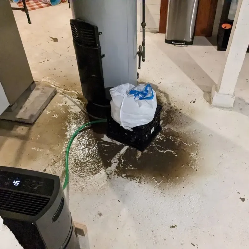 Sewage Backup Cleanup Service in Ganado, AZ
